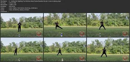 Sparring Tai Chi-Chen New Frame Routine Xinjia 2 For Fitness