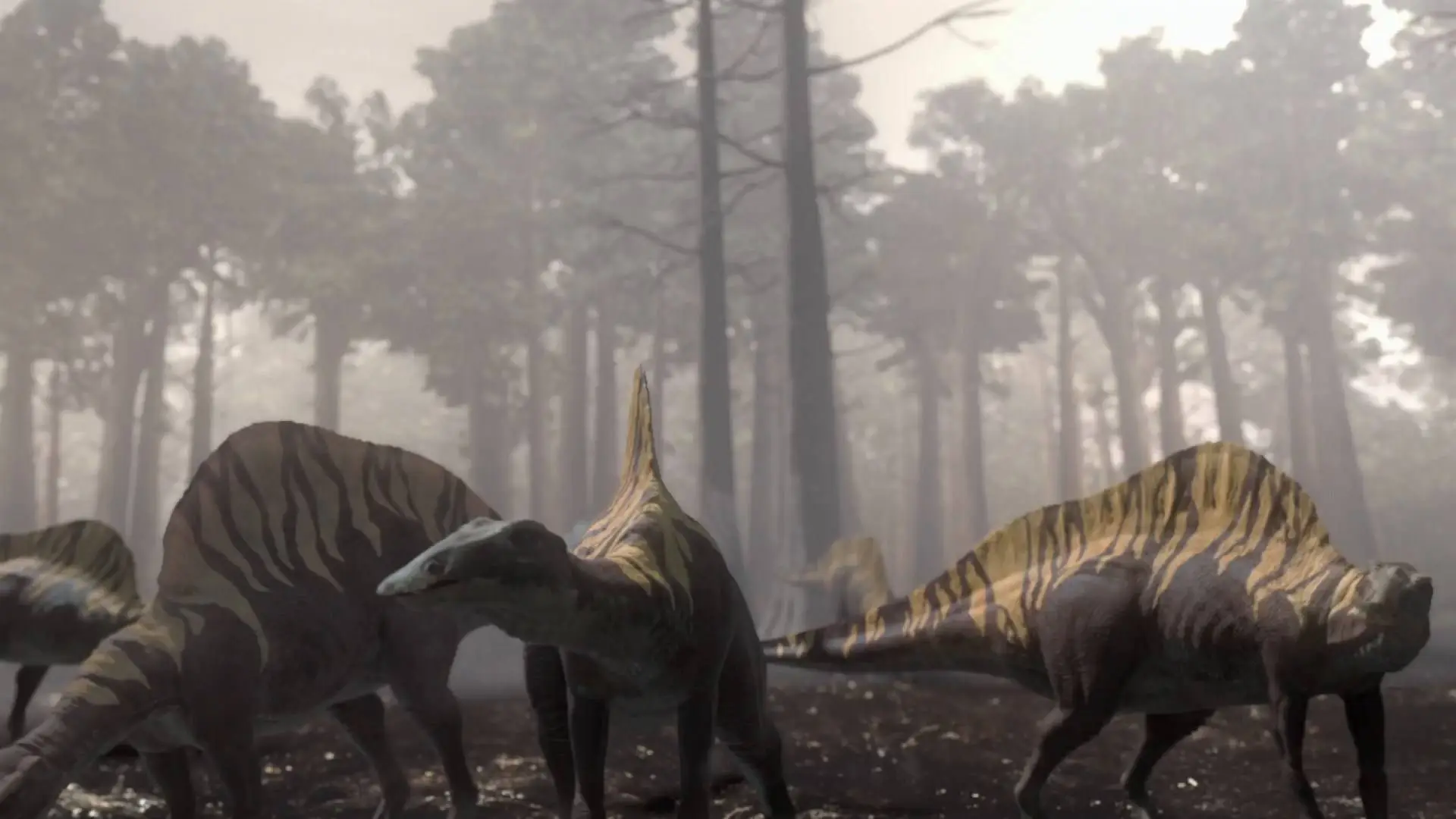 Открытый мир динозавр. Планета динозавров bbc Спинозавр. Аллозавр ббс. Планета динозавров 2011. Планета динозавров bbc 2011.