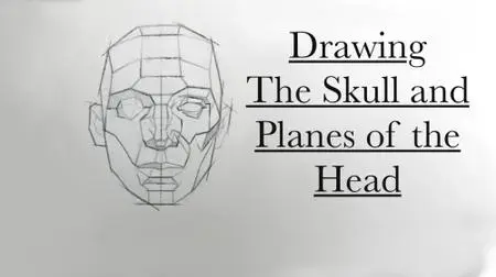 Drawing the Skull and Planes of the Head