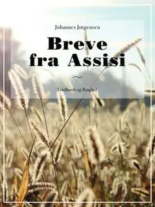 «Breve fra Assisi» by Johannes Jørgensen