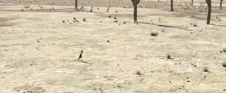 Rango (2011)