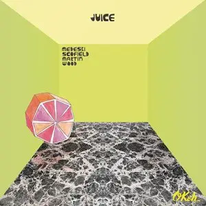 Medeski Scofield Martin & Wood - Juice (2014)