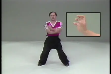 Analysis of Shaolin Chin Na