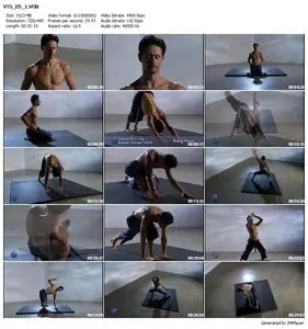 Budokon: Flow and Flexibility (2007) 