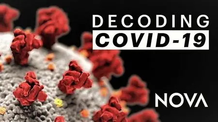 PBS - NOVA: Decoding COVID 19 (2020)