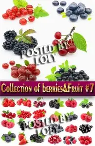 Food. Mega Collection. Berries and Fruits #7 - Stock Photo