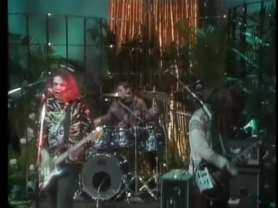 The Smashing Pumpkins - Vieuphoria (2002) [DVD9] {Virgin}