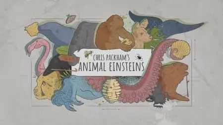 BBC - Chris Packham's Animal Einsteins (2021)