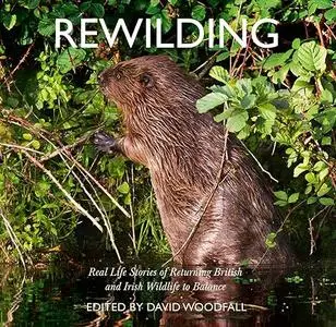 Rewilding: Real Life Stories of Returning British and Irish Wildlife to Balance (Repost)