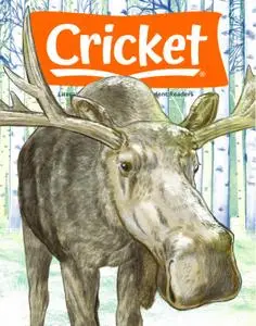 Cricket - November 2021