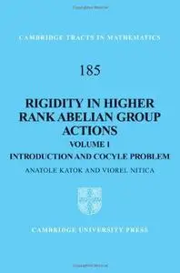 Rigidity in Higher Rank Abelian Group Actions: Volume 1, Introduction and Cocycle Problem