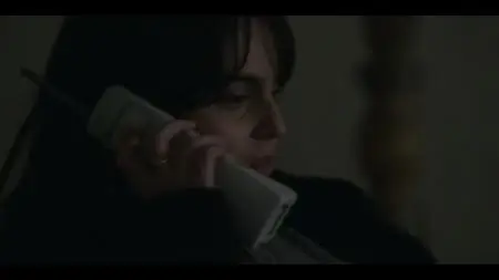 American Crime Story S03E05