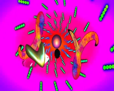 Mr. Peculiar – Syncrosect. Visualization (2004)