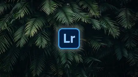 Adobe Lightroom CC Course: The only course you ever need!