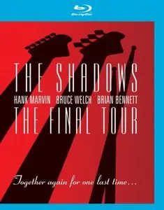 The Shadows - The Final Tour (2004) 720p BDRip