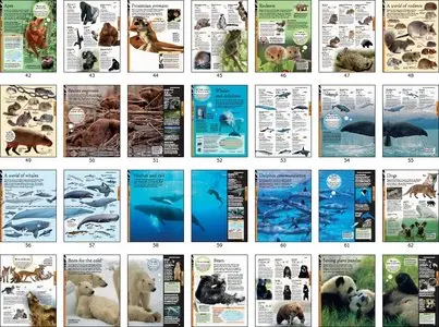 Animals: A Visual Encyclopedia, 2nd Edition