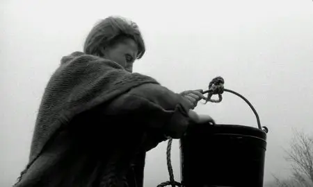 A Torinói ló (2011)