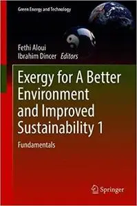 Exergy for A Better Environment and Improved Sustainability 1: Fundamentals