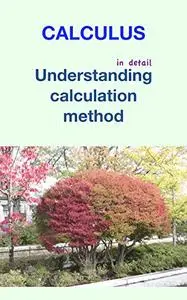 Calculus Understanding calculation methods: How to understand calculation methods of differentiation and integration.