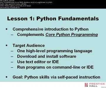 LiveLessons - Python Fundamentals [repost]