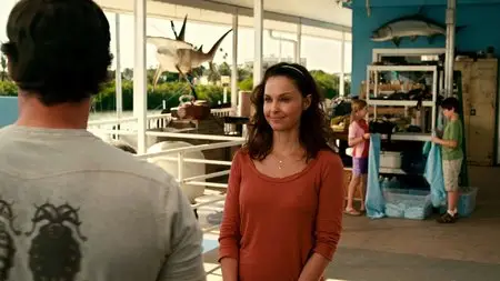 Dolphin Tale / Mein Freund, der Delfin (2011)
