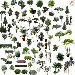 Elements of the designer - Wood