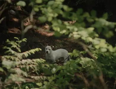 Mongrels (2024)