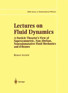 Lectures on Fluid Dynamics