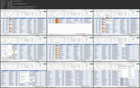 Excel: Daten filtern für Einsteiger:innen