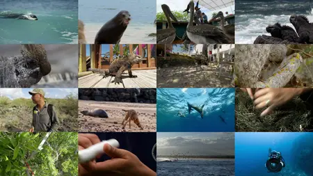 BBC Natural World - Galapagos: Islands of Change (2015)