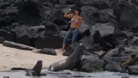 BBC Natural World - Galapagos: Islands of Change (2015)
