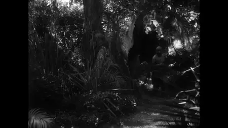 Island of Lost Souls (1932) [Criterion] + Commentary