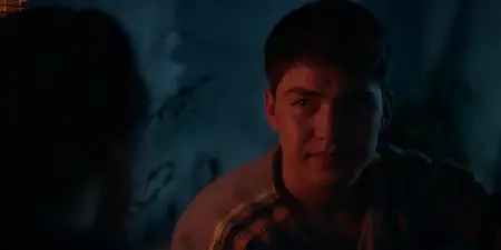 In the Land of Brothers (2024)
