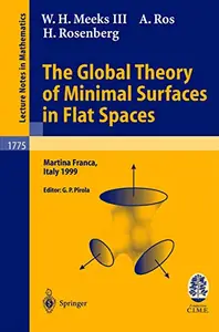 The Global Theory of Minimal Surfaces in Flat Spaces