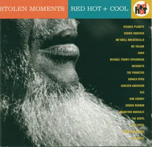 Stolen Moments: Red Hot + Cool (1994)