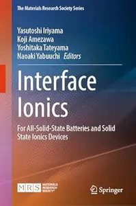 Interface Ionics: For All-Solid-State Batteries and Solid State Ionics Devices