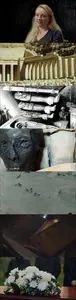 Tutankhamun: Unmasking the Curse (2024) [MultiSubs]