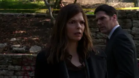 Criminal Minds S08E13