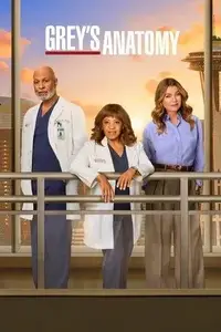 Grey's Anatomy S22E17
