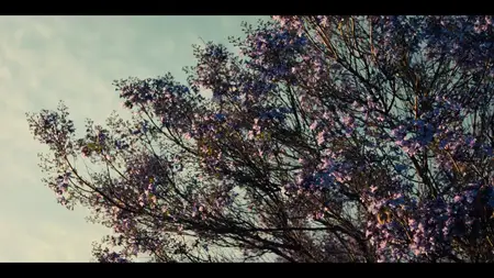 Nobody Wants This S02E08