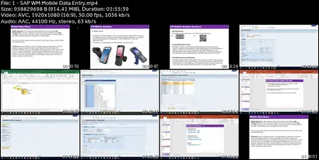 SAP WM Course on RF/Mobile Data Entry