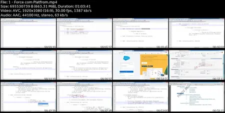 The Pro Salesforce Development Course : Beginner to Advanced