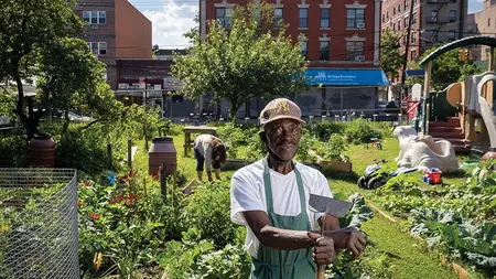 Urban Gardening Mastery - Grow Your Own Food in the City