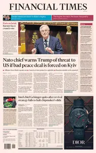 Financial Times USA - 3 December 2024