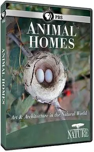 PBS Nature - Animal Homes: Animal Cities (2015)