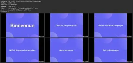 Créer Une Audience De Fan Accro À Tes Mails ⭐