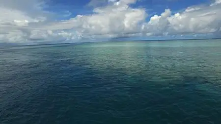 BBC - Wonders of the Great Barrier Reef (2018)