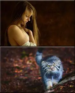 Classy Wallpapers (11)