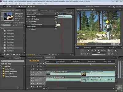 Learning Adobe Premiere CS5 Video Training