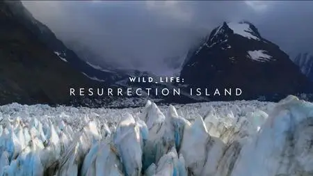 NG. - Wildlife: Resurrection Island (2018)